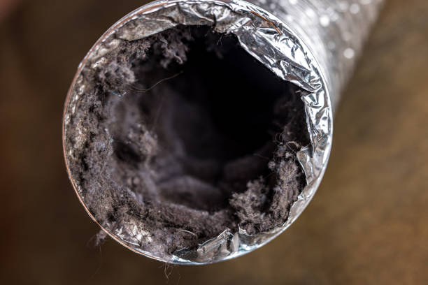 Best Emergency Air Duct Cleaning  in Niagara, WI