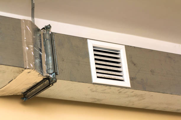 Best Air Duct Cleaning Company Near Me  in Niagara, WI